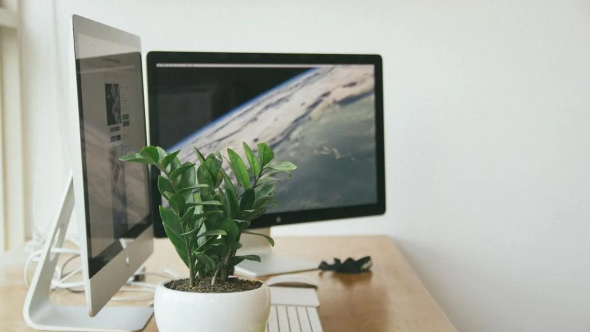 Monitors & Screens